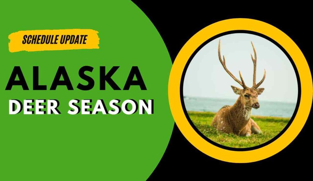 Alaska Deer Hunting Season 20232024 New Dates & Rules!