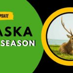 Alaska Deer Hunting Season