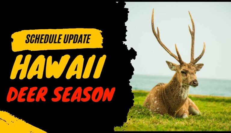 HAWAII Deer Season