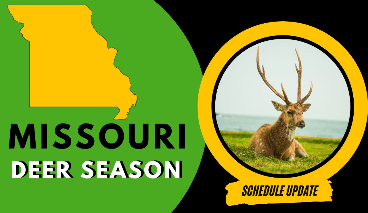 Missouri Deer Season 2023-2024: Dates, Bag Limits, Licenses & Rules