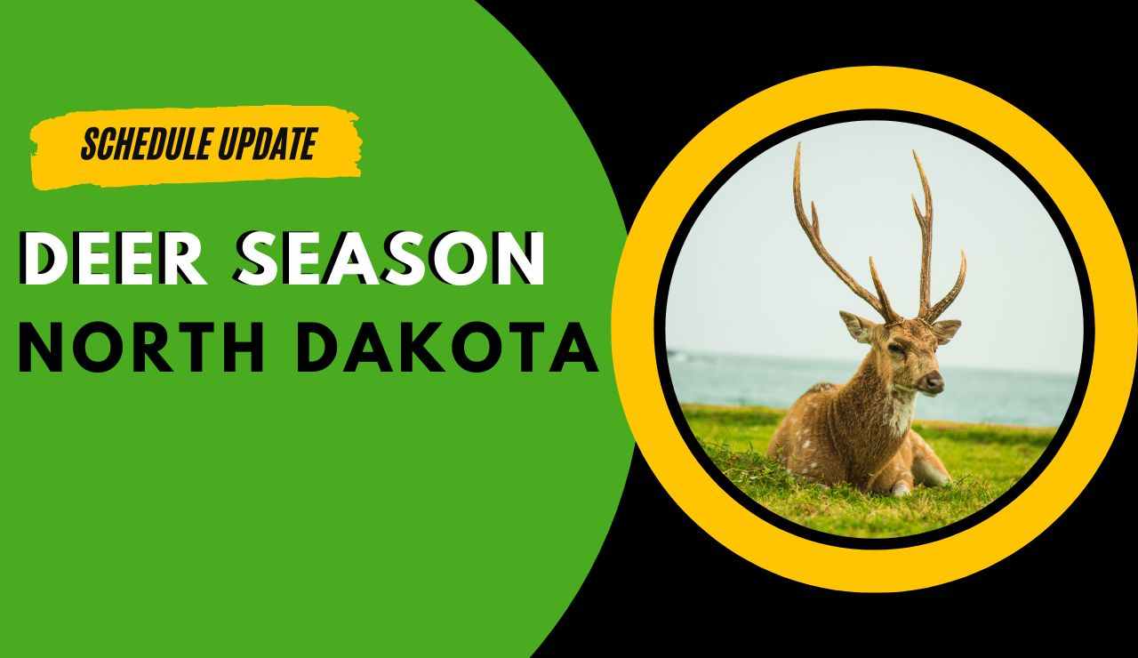 ND Deer Season 20232024 All You Need To Know on North Dakota Deer