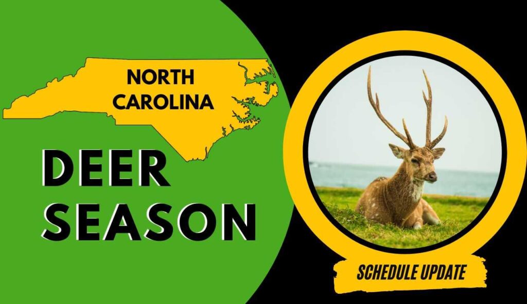 North Carolina Deer Season 20232024 Latest Schedules, Licenses