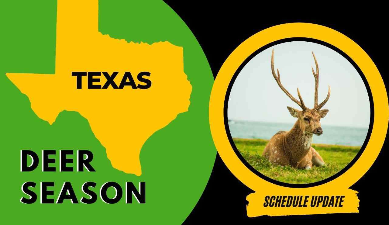 Texas Deer Season 20232024 Latest Hunting Schedule, Rules, Licenses