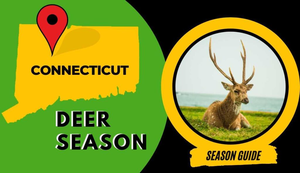 Connecticut Deer Season 2023 CT Deer Hunting Guide [Schedules, Bag