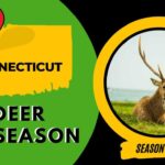 Connecticut Deer Season