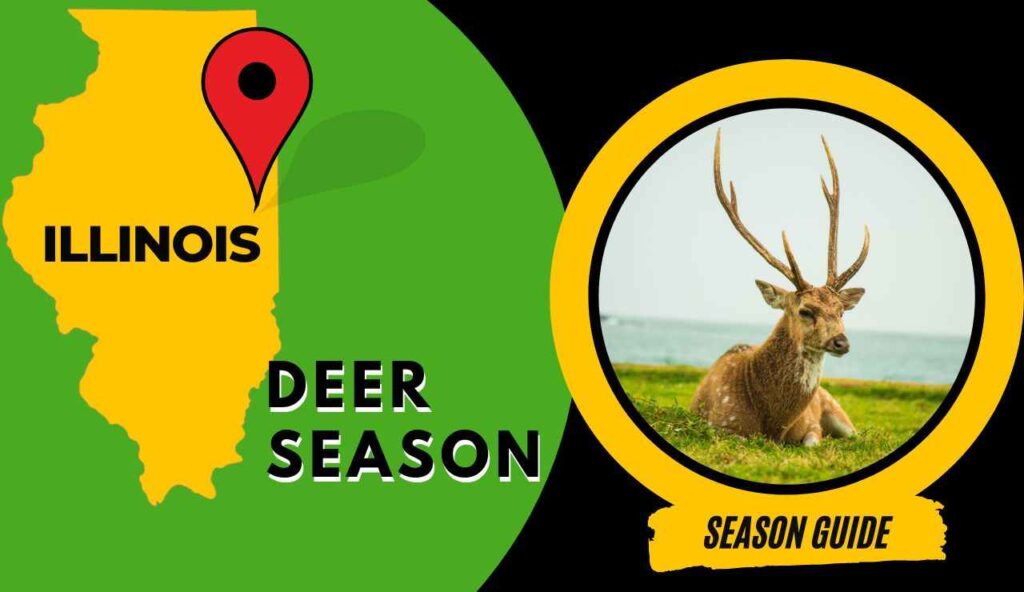 Illinois Deer Season 2023 Complete Guide [Hunting Schedule, Rules
