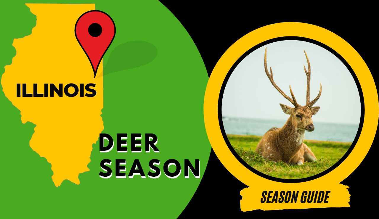 Illinois Deer Season