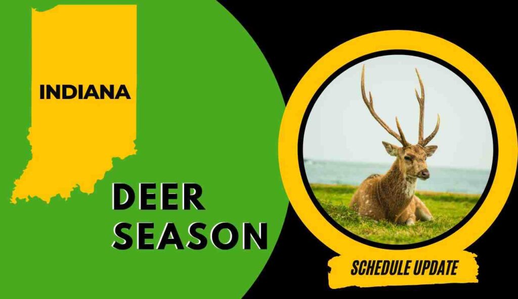 Indiana Deer Season 2023 Latest Guide [Schedule,Rules, Bag Limits