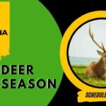 Indiana Deer Season