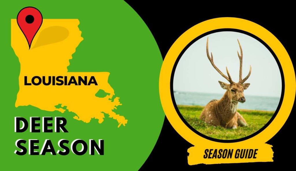 Louisiana Deer Season 2023 Ultimate LA Deer Hunting Guide [Schedules