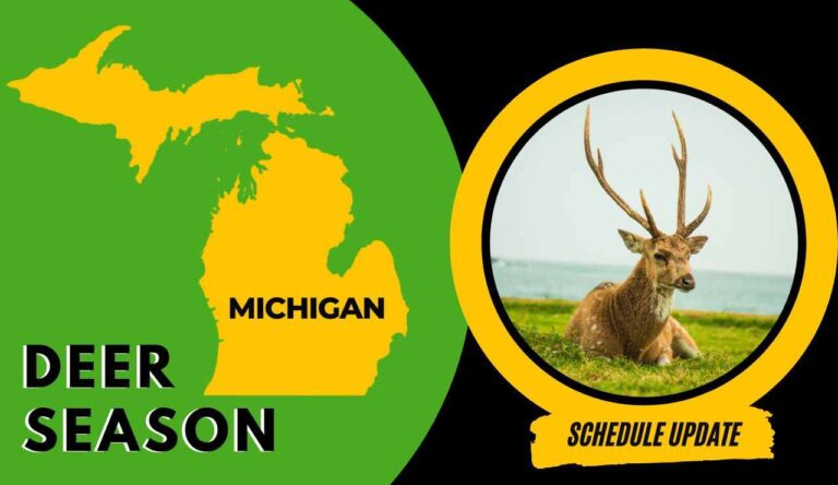 Michigan Deer Season