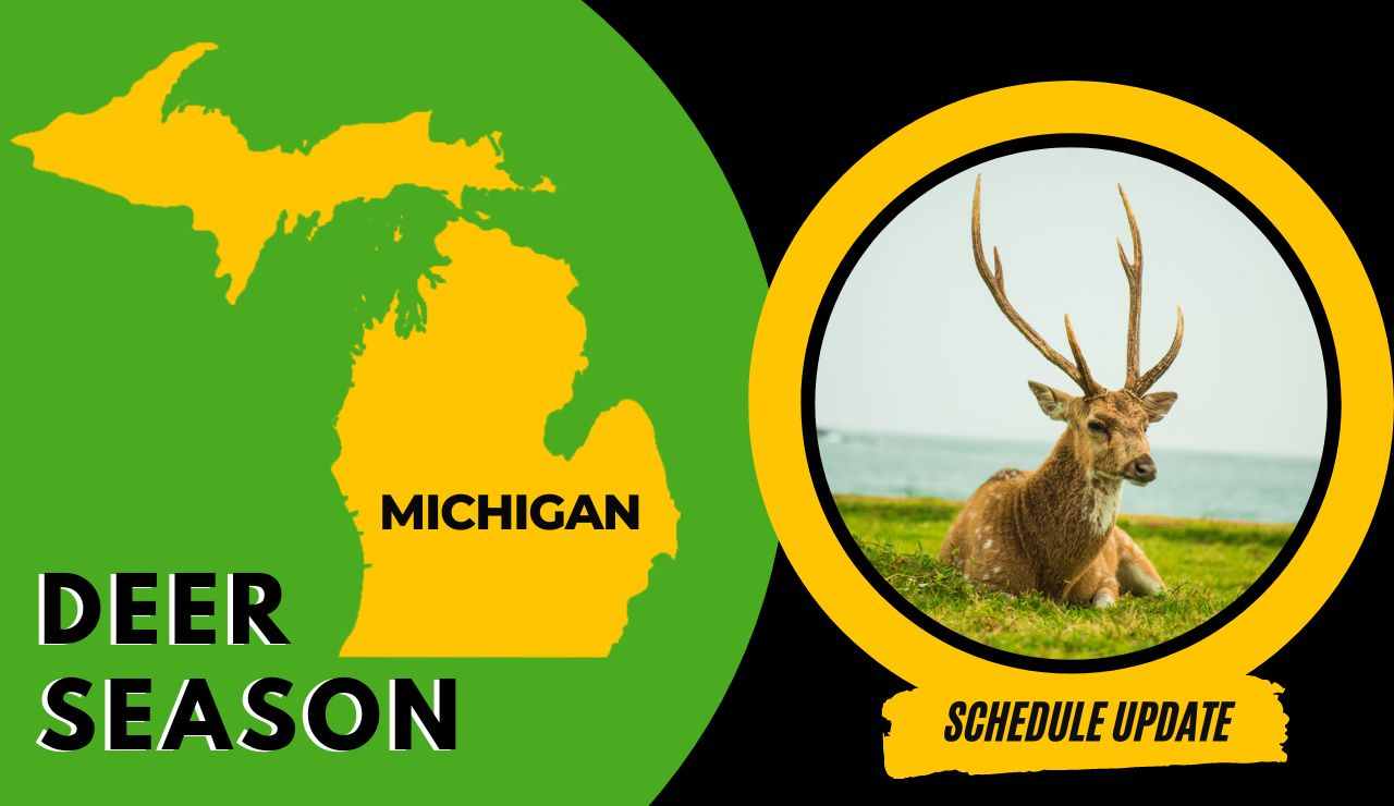 Michigan Deer Season 2024 Schedule Annis Brianne