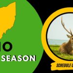 Ohio Deer Season
