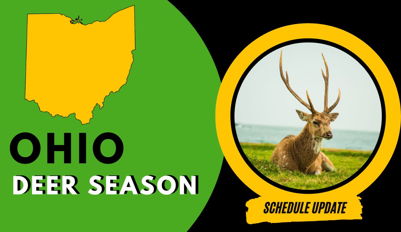 Ohio 2024 Hunting Season Amye Kellen
