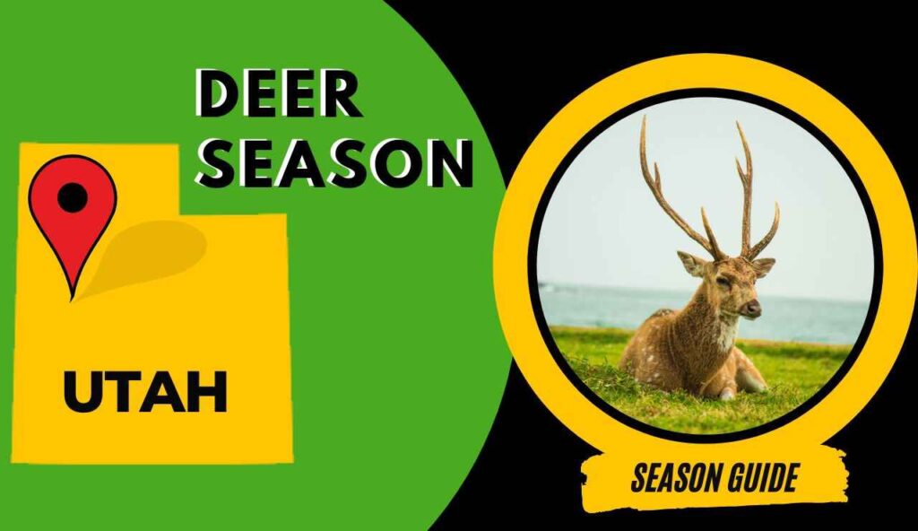 Utah Deer Season 2023 UT Turkey Hunting Guide [Dates, Regulations