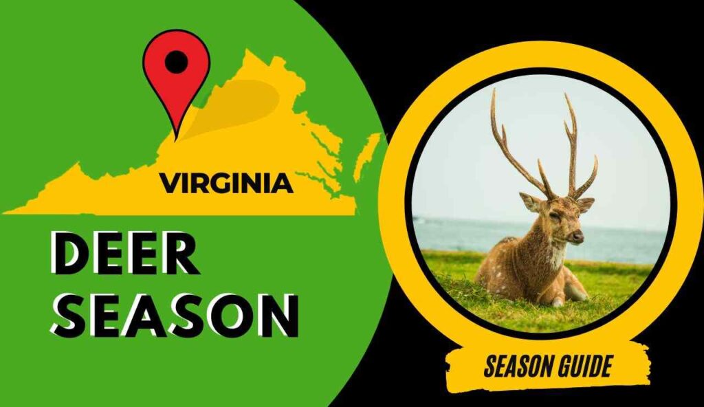Virginia Deer Season 2023 VA Deer Hunting Guide [Dates, Rules, Bags
