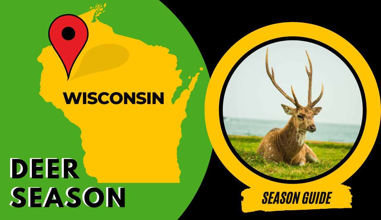 Wisconsin Deer Season 2023 WI Deer Hunting Guide [Schedule, Rules