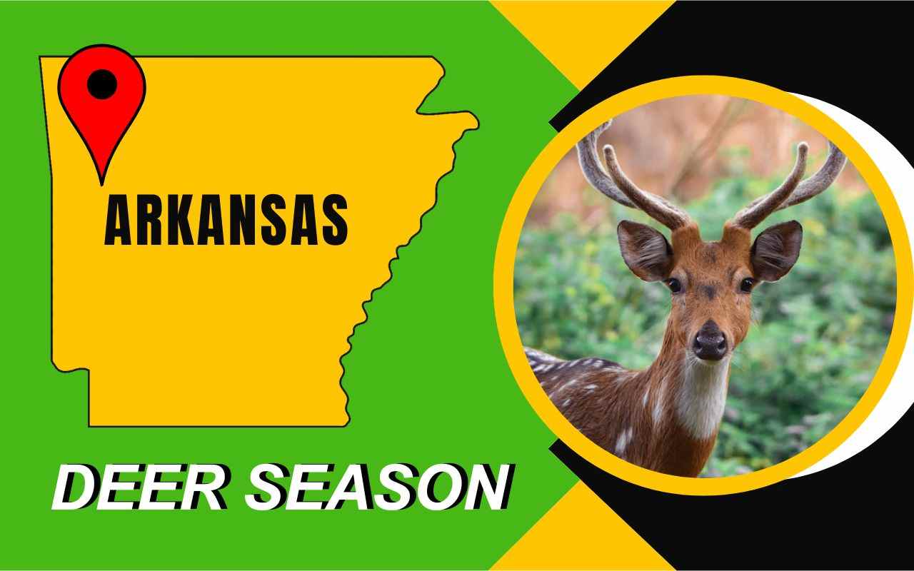 Arkansas Deer Season 2023 AR Deer Hunting Guided [Schedules, Licenses