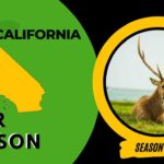 California Deer Season