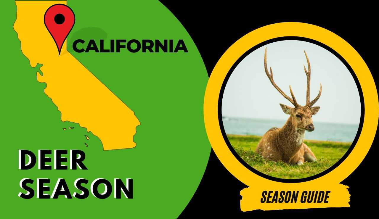 California Deer Season 2023 CA Deer Hunting Guide [Schedules, Rules