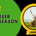 Vermont Deer Season