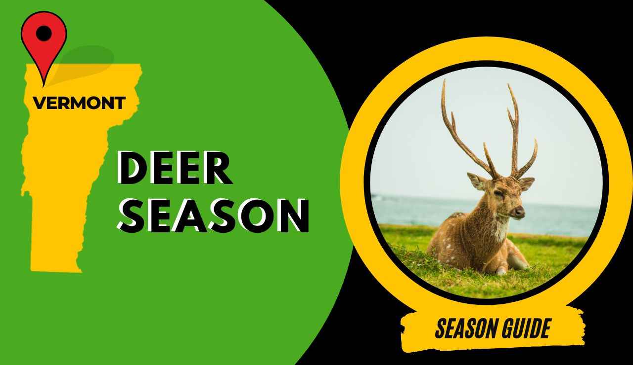 Vermont Deer Season 2023 VT Deer Hunting Guide [Schedule, Rules, Limit