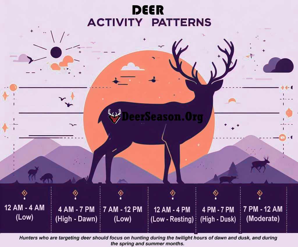 Deer Activity Pattern