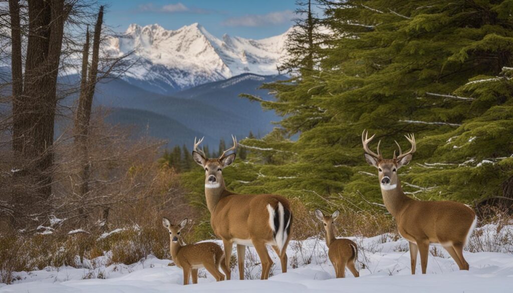 white-tailed deer sightings in Alaska